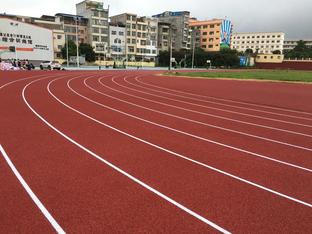 海东市硅PU塑胶跑道材料 - 排名